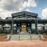 Blackwall Hitch