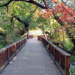 Wilbur D. May Arboretum