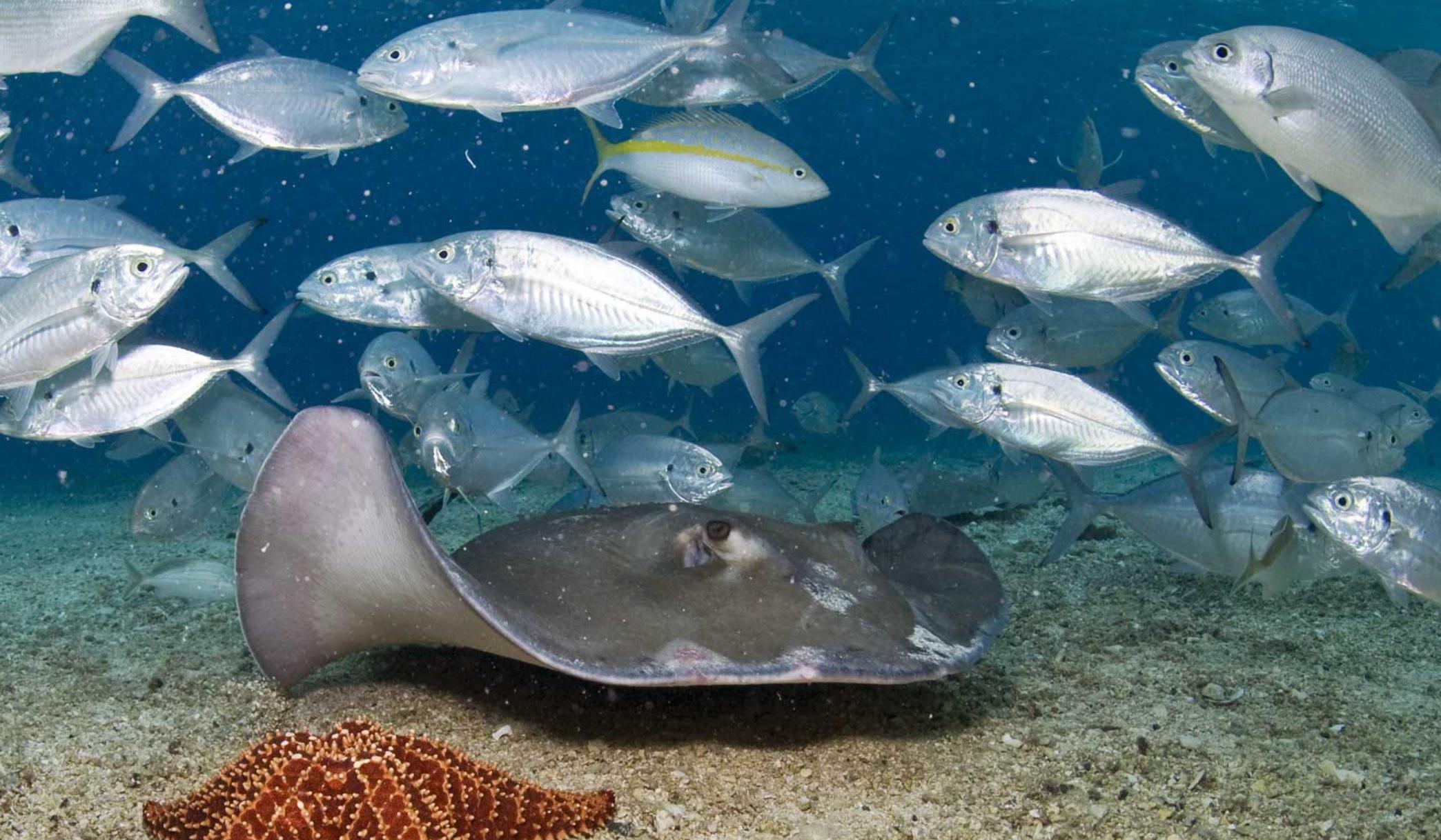 261b68d4-5345-4b54-bb42-0fb5bd553c3f