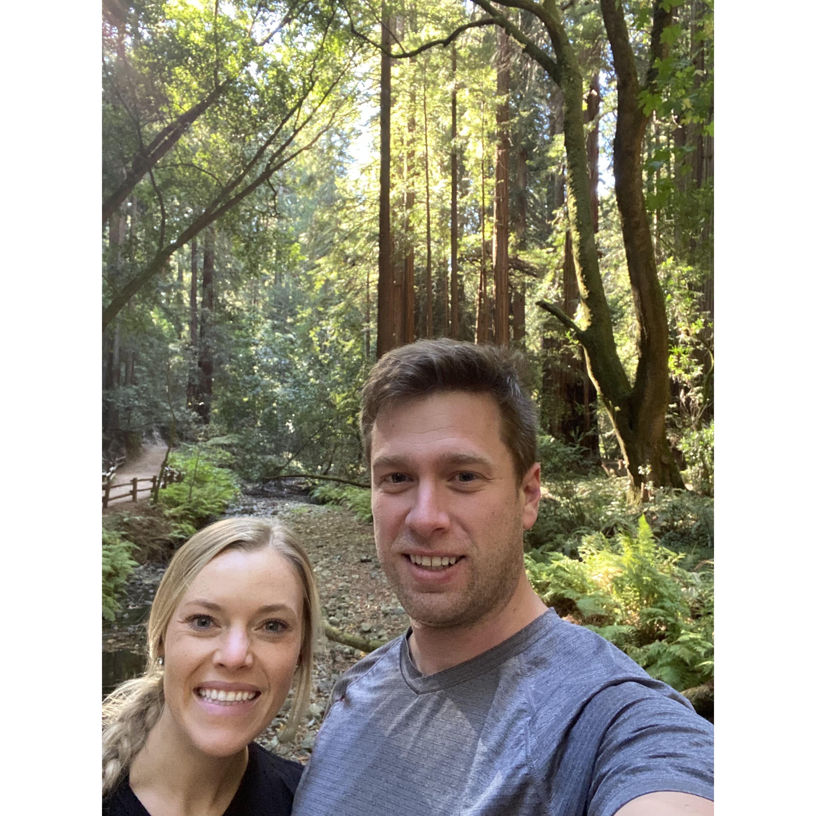 Redwood trees in CA