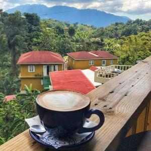 Honeymoon Coffee Date