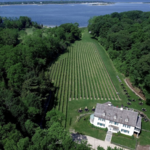 Harmony Vineyards