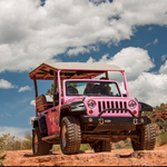 Pink Jeep Tours