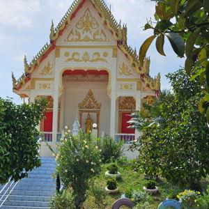 Help us explore Thailand's beauty together!
