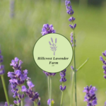 Hillcrest Lavender Farm, LLC