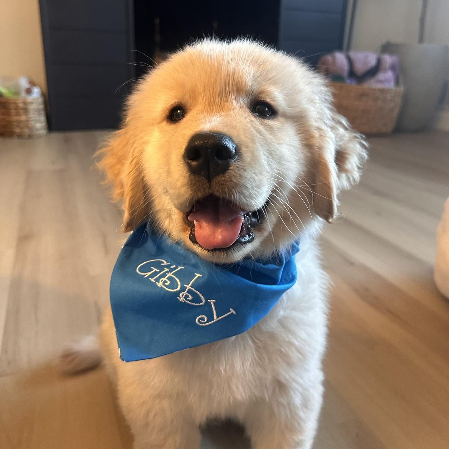 Gibby is our baby! If you know us, you know him!