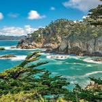 Point Lobos State Natural Reserve