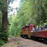 The Skunk Train