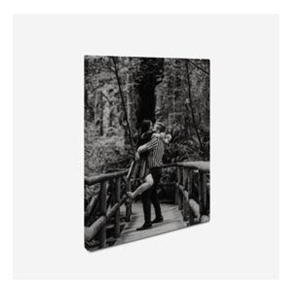 Printed Canvas