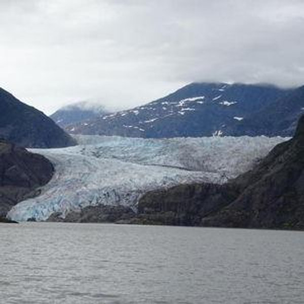 Honeymoon Excursion: Alaska's Whales & Trails Excursion