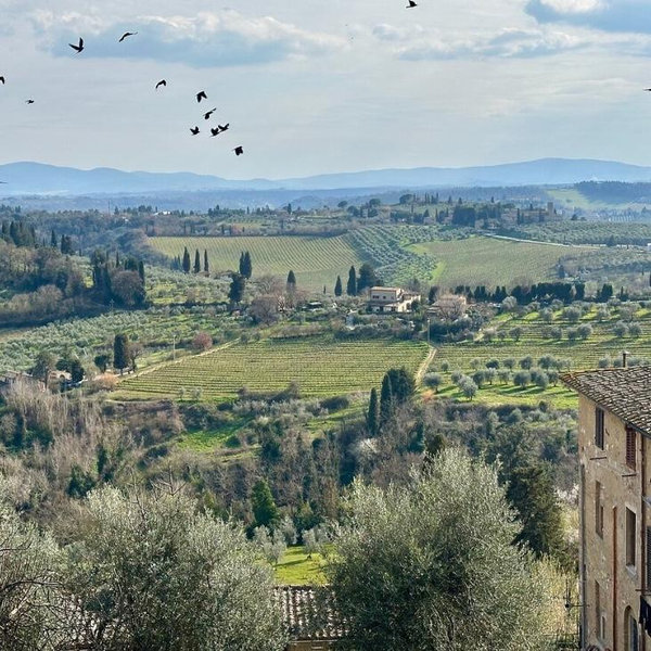 Tuscan Countryside Day Trip with Winery Lunch