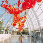 Chihuly Garden and Glass