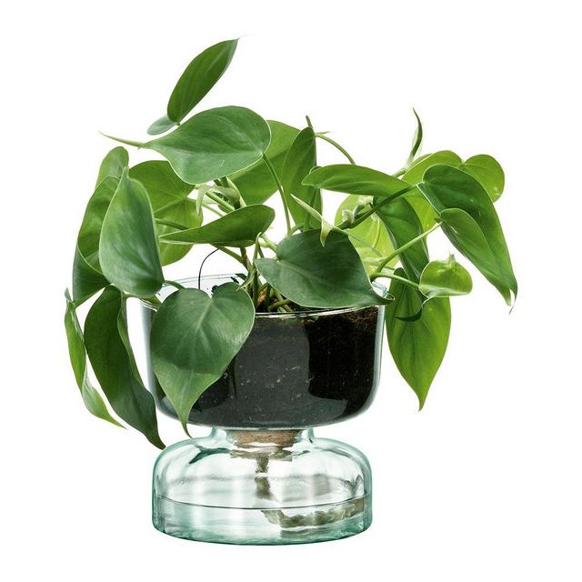 Canopy Self Watering Planter - 13cm