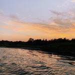 Blue Point Brewing Company