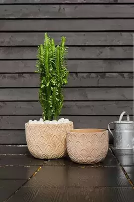 Paloma Ceramic Bowl Planter, 15