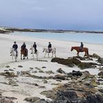 The Point Pony Trekking & Horse Riding Centre