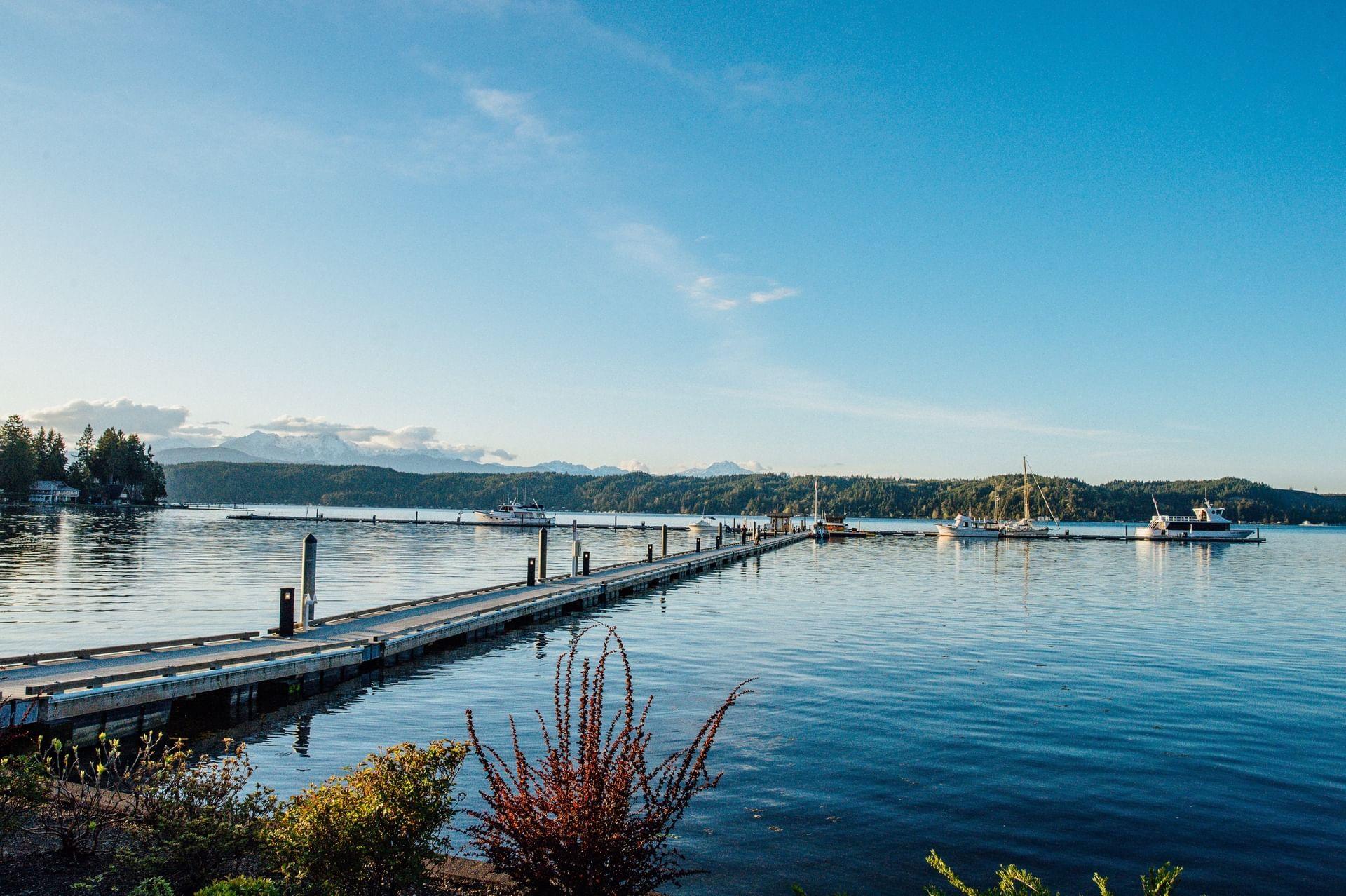 The Wedding Website of Angela Murray and Harry Birnbaum