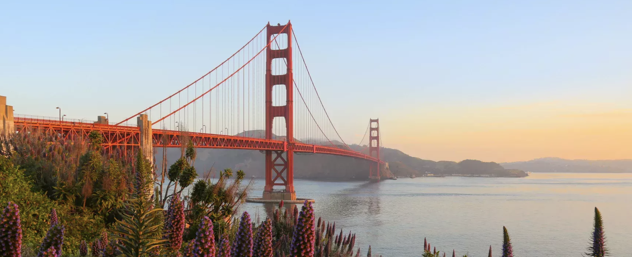 The Wedding Website of Nicki Vereschagin and Dylan Bringle