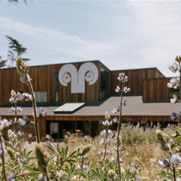 Mini Moon: Dinner at the Sea Ranch Lodge