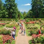 International Rose Test Garden