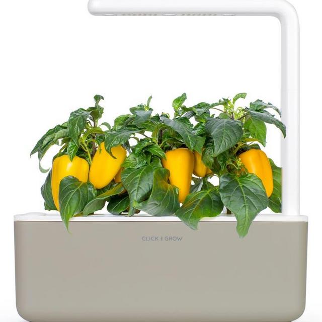 Smart Garden 3 Self Watering Indoor Garden