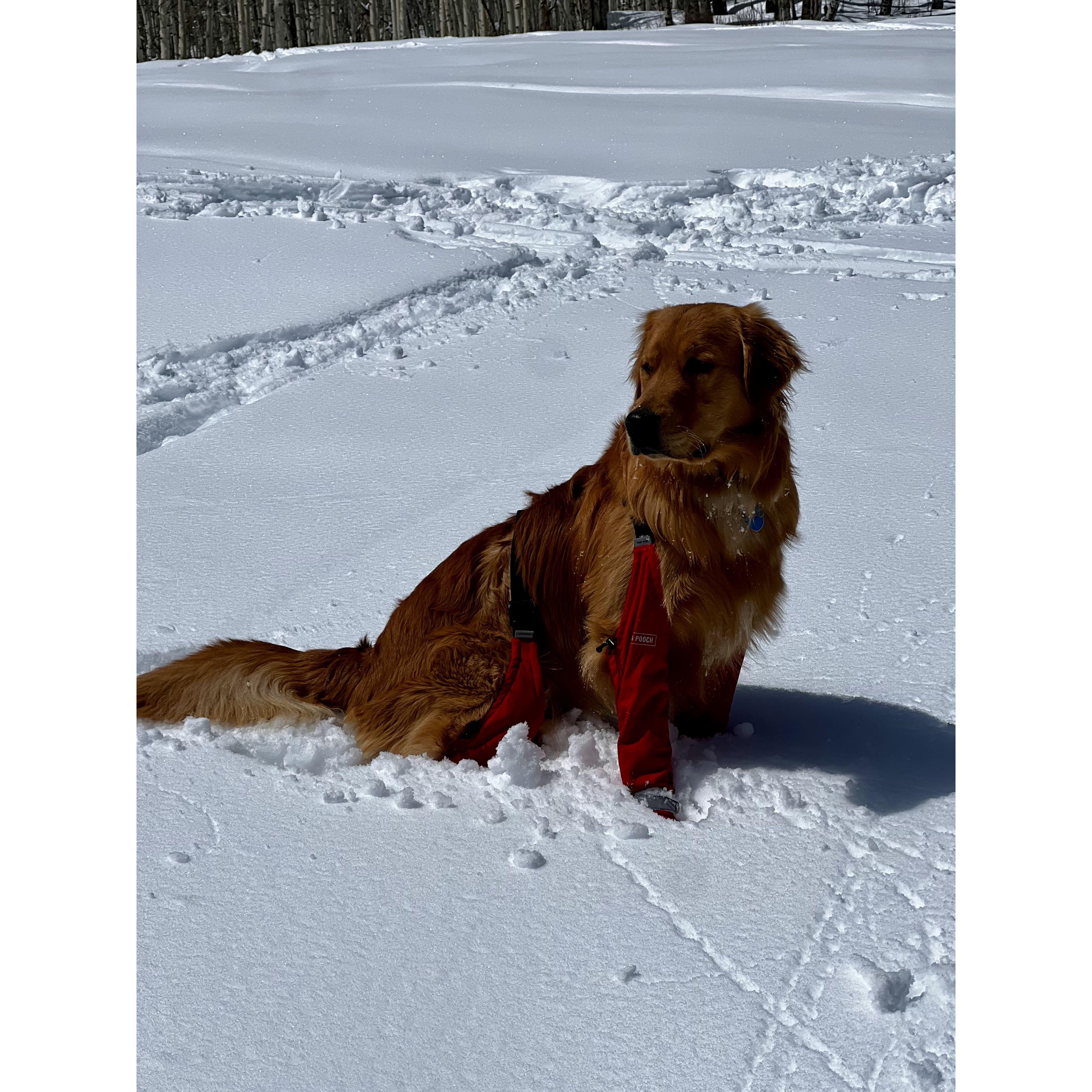 Bo's First Ski Day