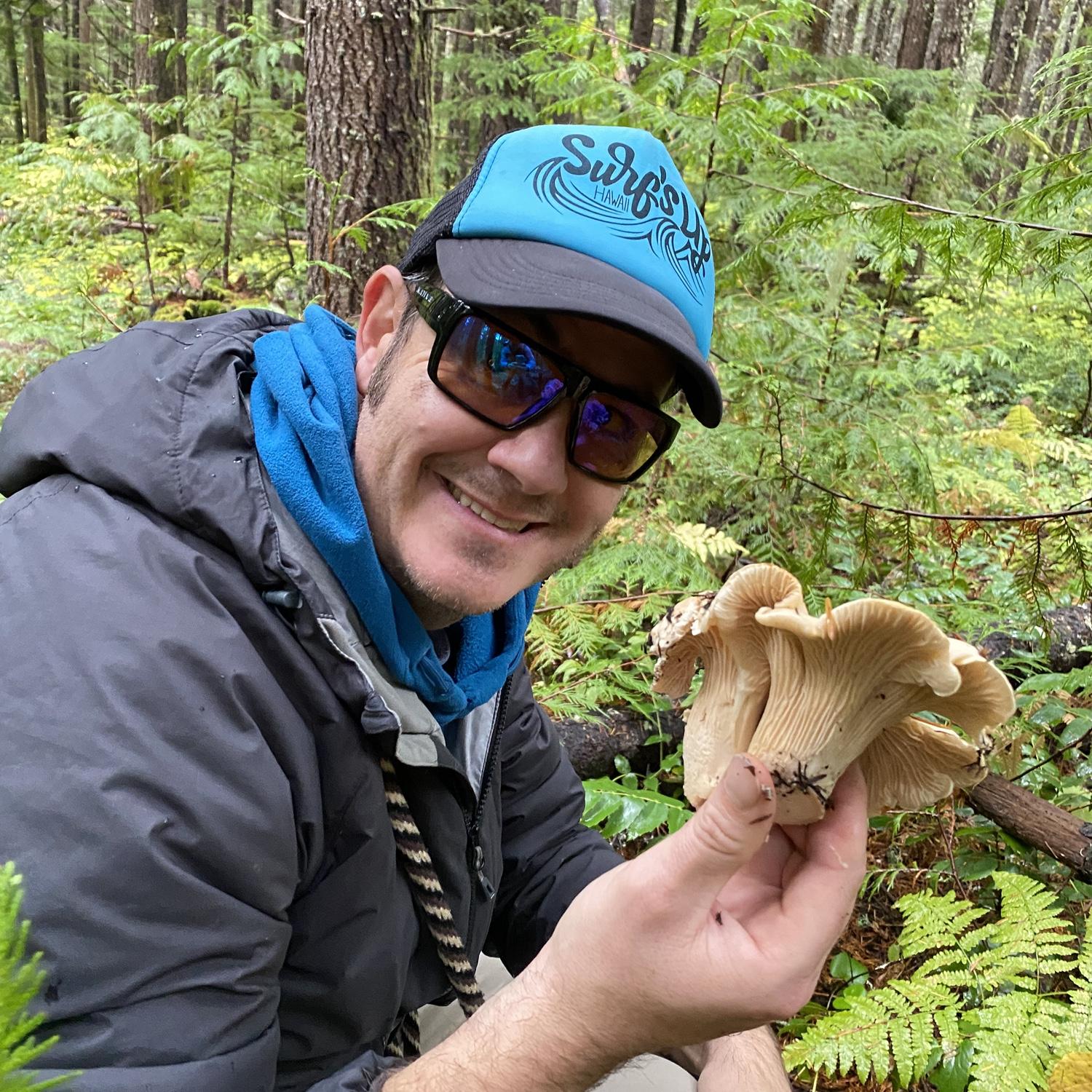 Chanterelles mushroom foraging. Washington. September 2021.