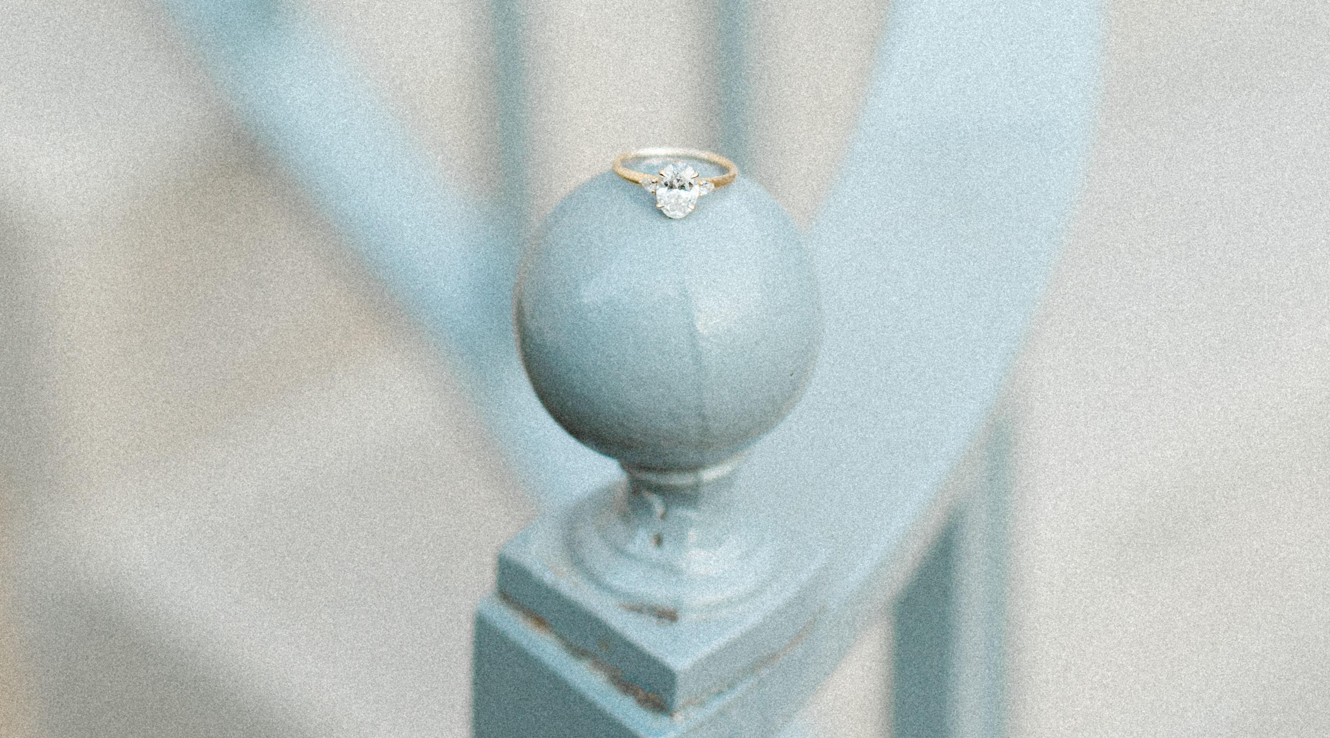 The Wedding Website of Nicole Feldman and Michael Castellan