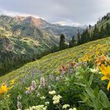 Scenic Hiking & Outdoor Adventures