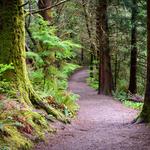 Lewis and Clark National Historical Park