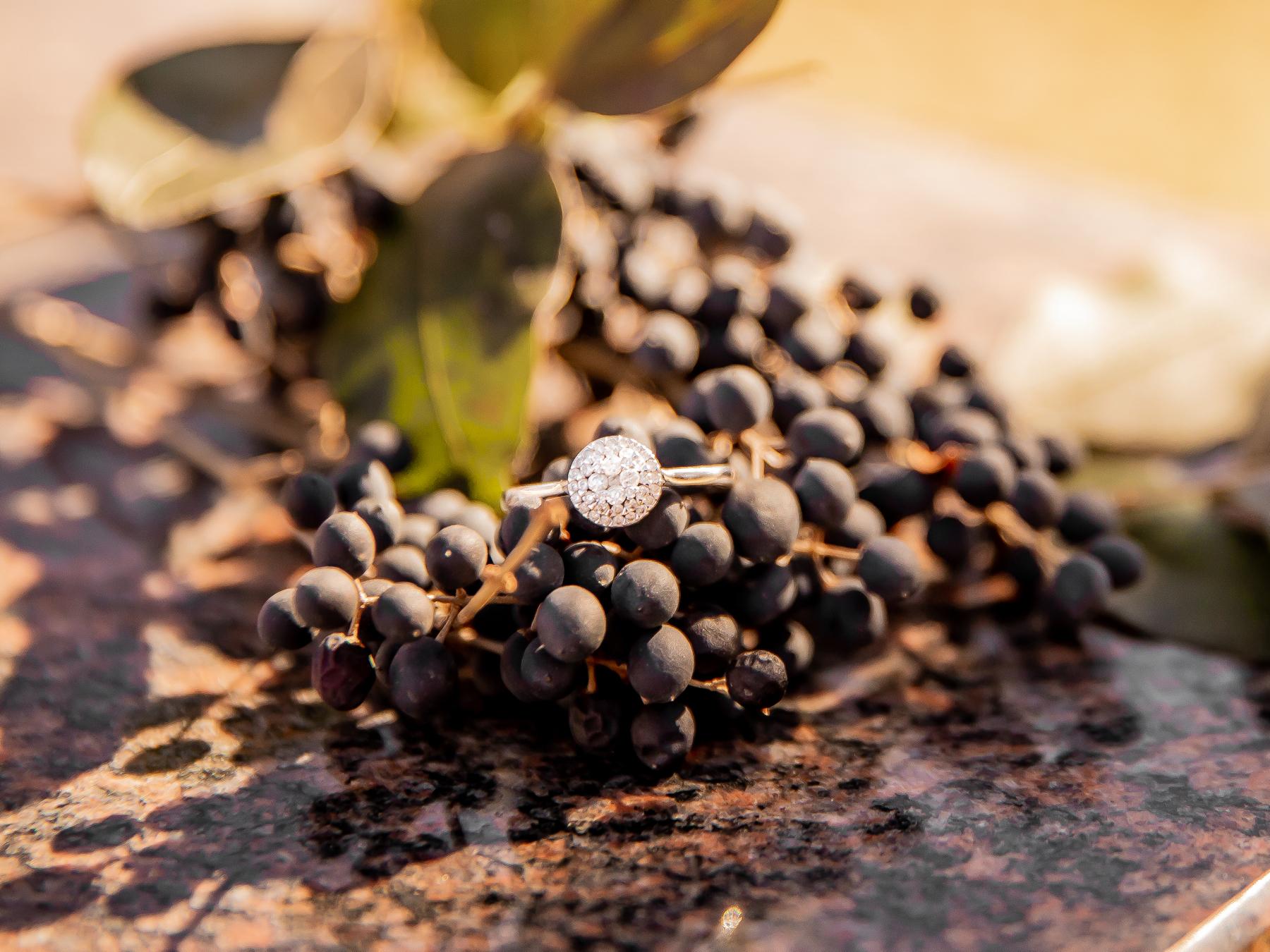 The Wedding Website of Jessica Ladd and Michael Roberts