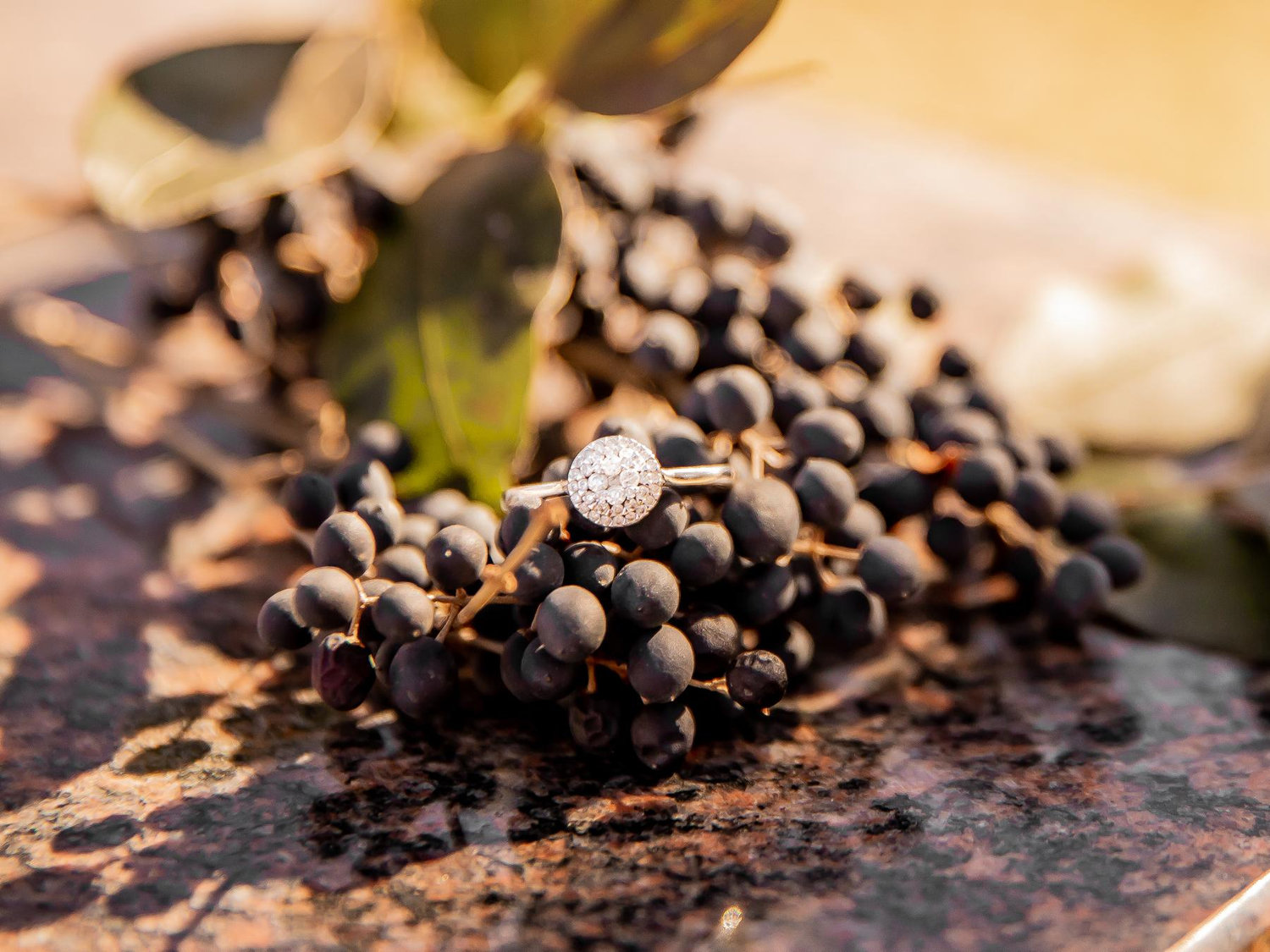 The Wedding Website of Jessica Ladd and Michael Roberts