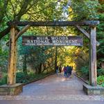 Muir Woods National Monument