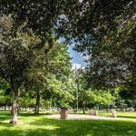 Atwood Park