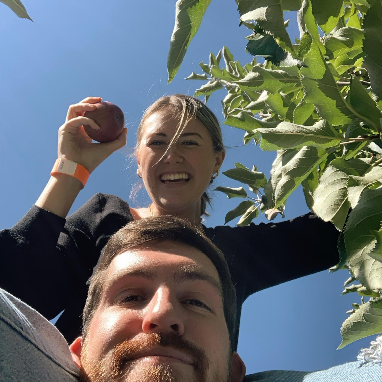Apple picking at Parley Farms