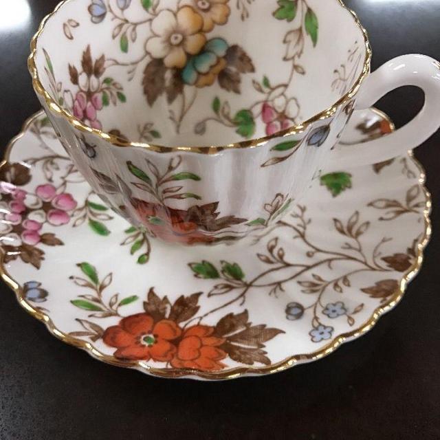 Radfords Fenton bone china The Gatineau cup and saucer