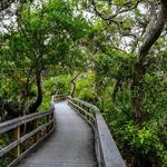 Guana Tolomato Matanzas National Estuarine Research Reserve