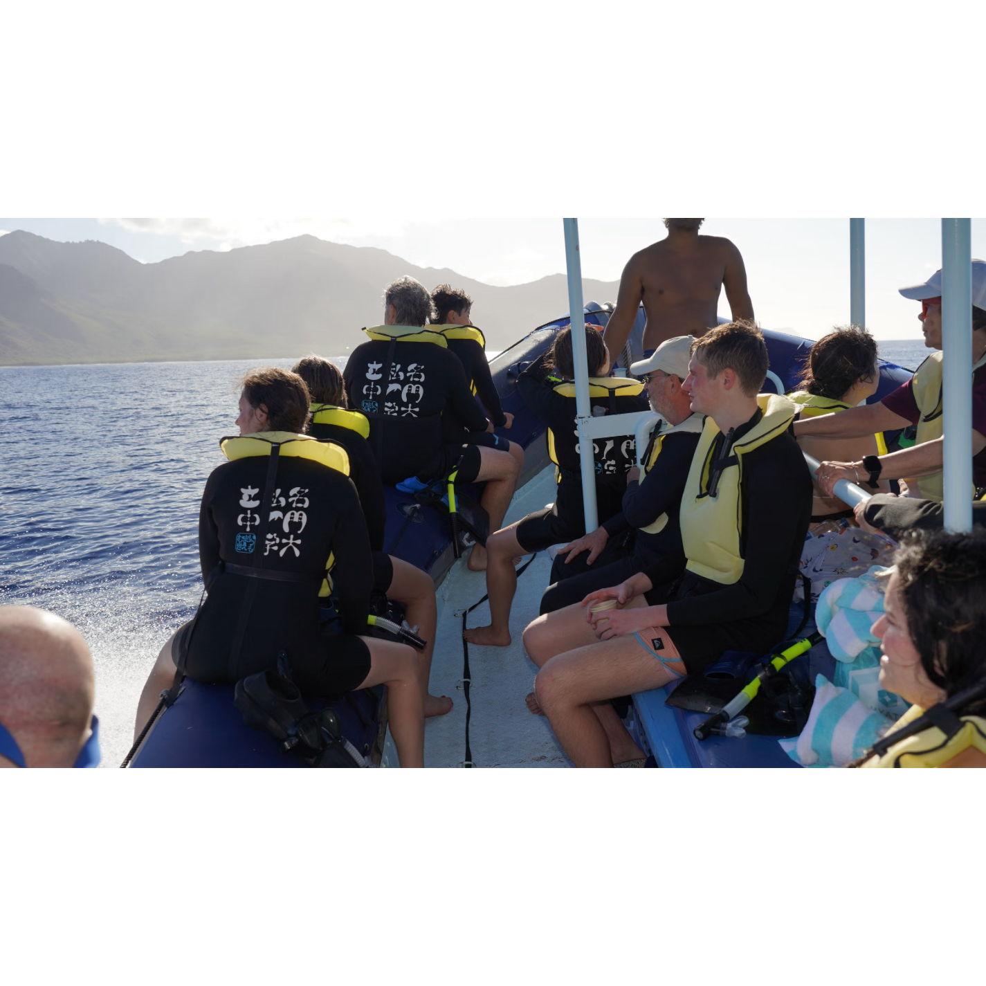 matthew and charlotte swimming with dolphins in hawaii