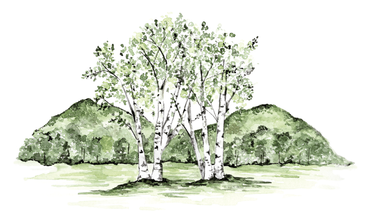 The Wedding Website of Elizabeth Sorenson and Greg Sorenson