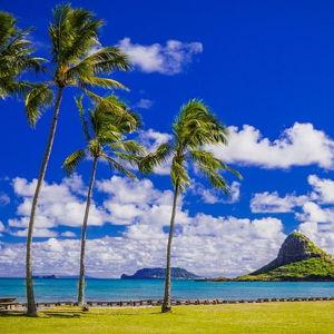 Oahu: Grand Tour Around Island with Snorkeling