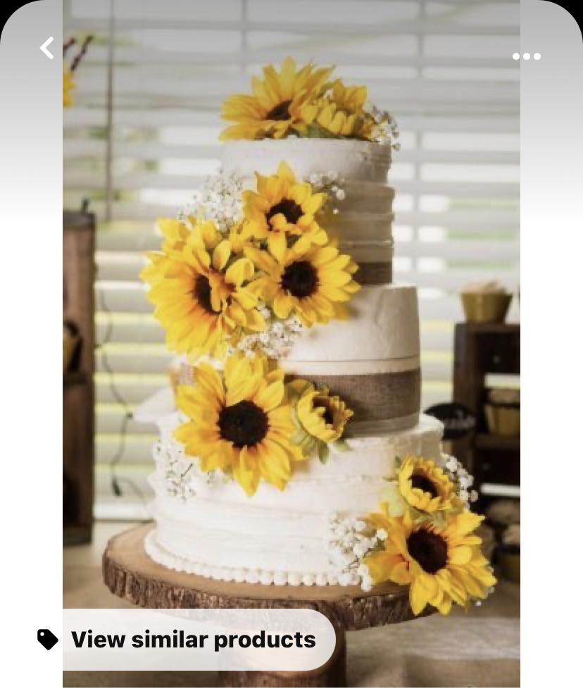 Our Wedding Cake