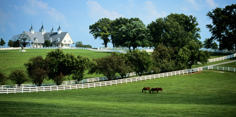 The Wedding Website of Katie Grace and Daniel Conte