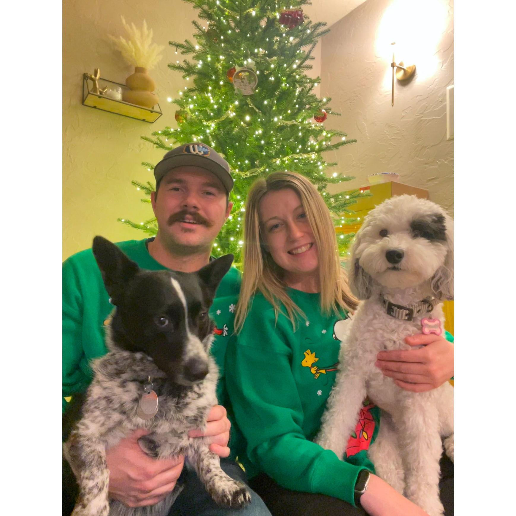 attempted first xmas in our house pic!