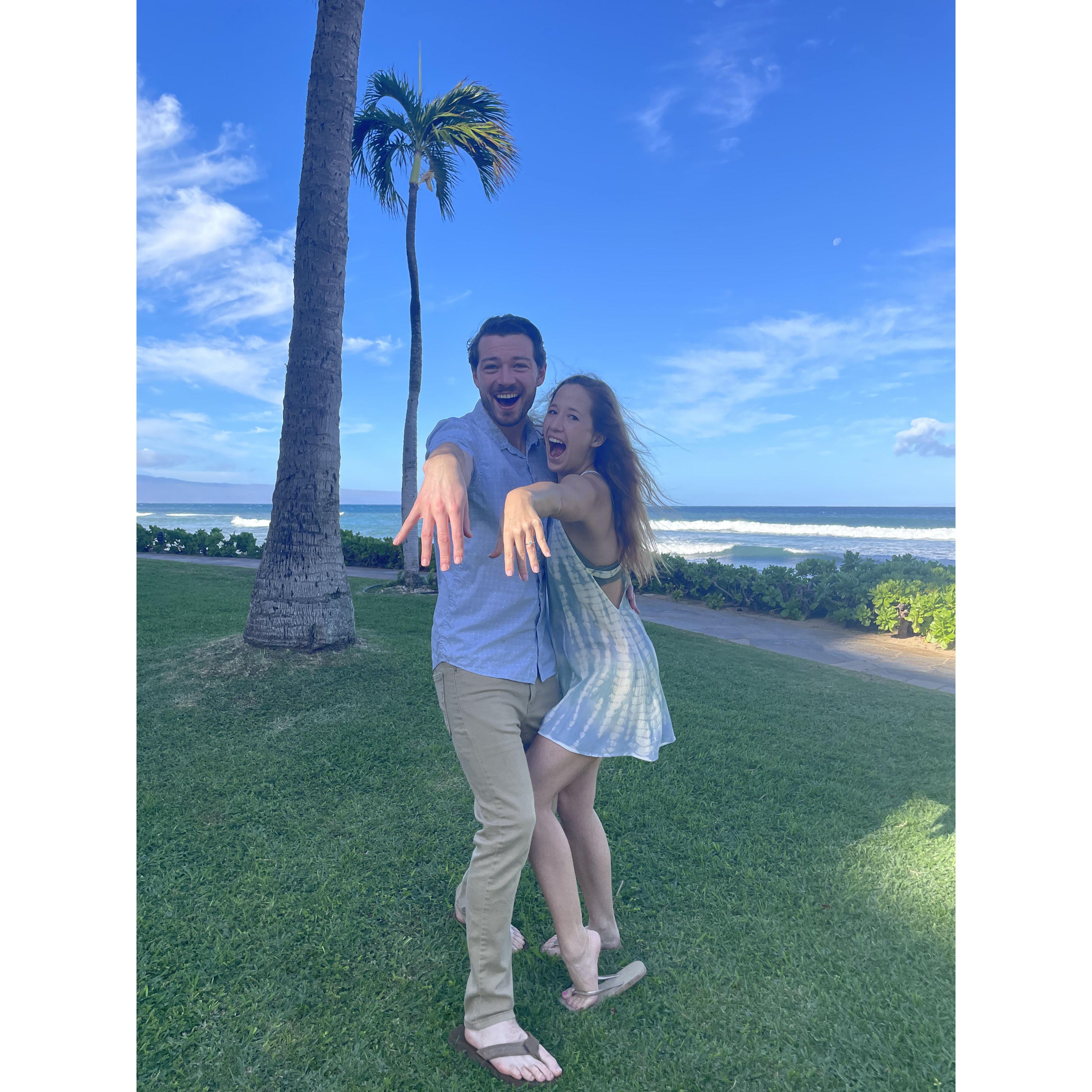 We're getting Maui'd!