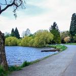 Green Lake