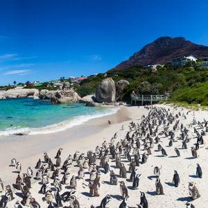 kayaking in Capetown