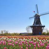 Tulip Time Festival