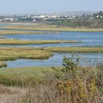 Newport Back Bay Aquatic Center