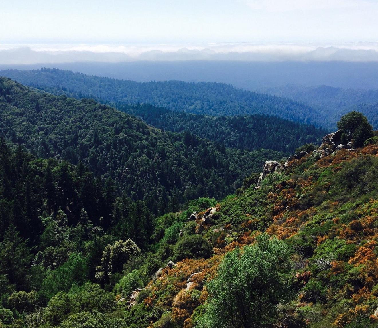 The Wedding Website of Alannah Johns and Charohn Dawson