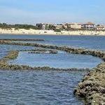 Los Corrales de Rota